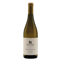 Enrico Santini, Campo alla Casa, DOC Bolgheri Bianco 2023