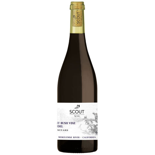 Ancient Bush Vine - Zinfandel