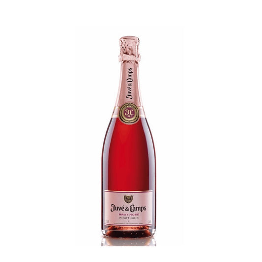 Juvé & Camps - Cava Brut Rosé